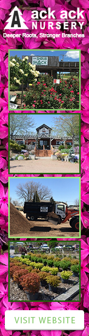 Ack Ack Nursery Company